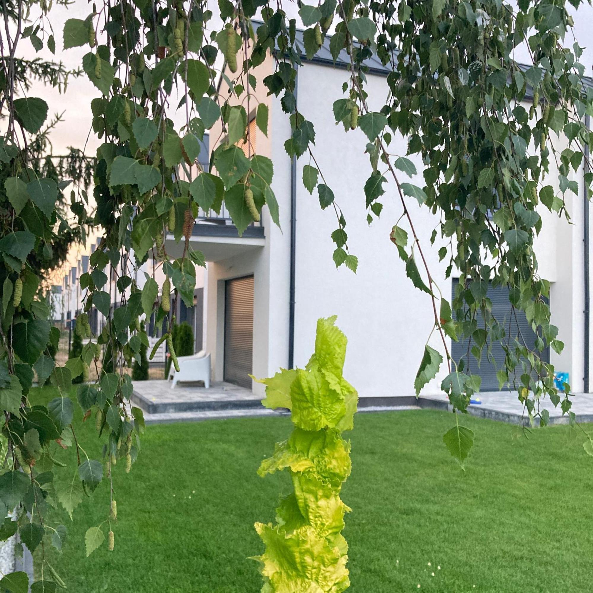 Stylowe Apartamenty Plewiska Dış mekan fotoğraf